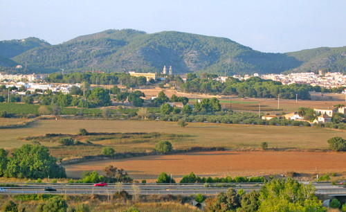 El llano del Carç (2014/2020)
