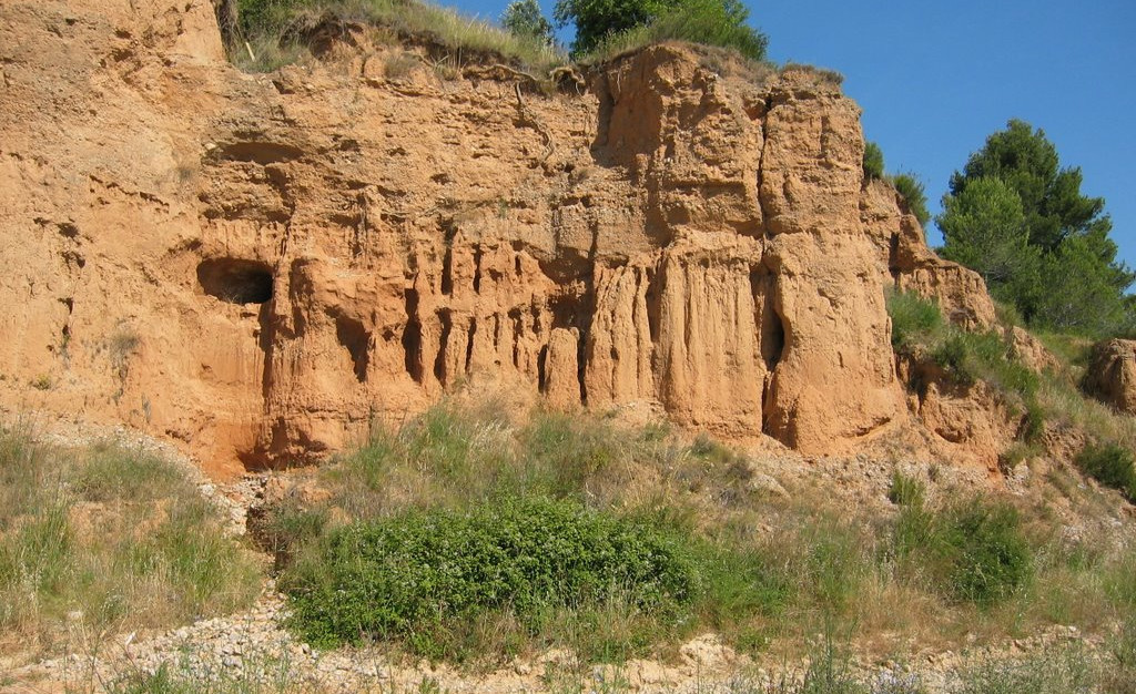 CUSTODIA Ribes.