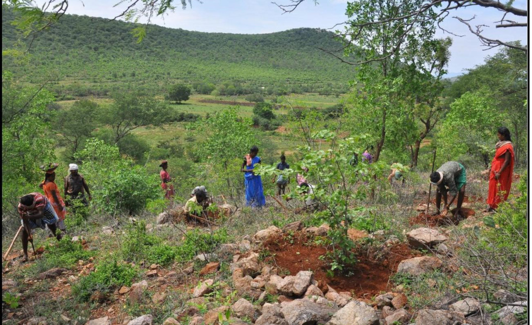 Veerakaradu (2019)