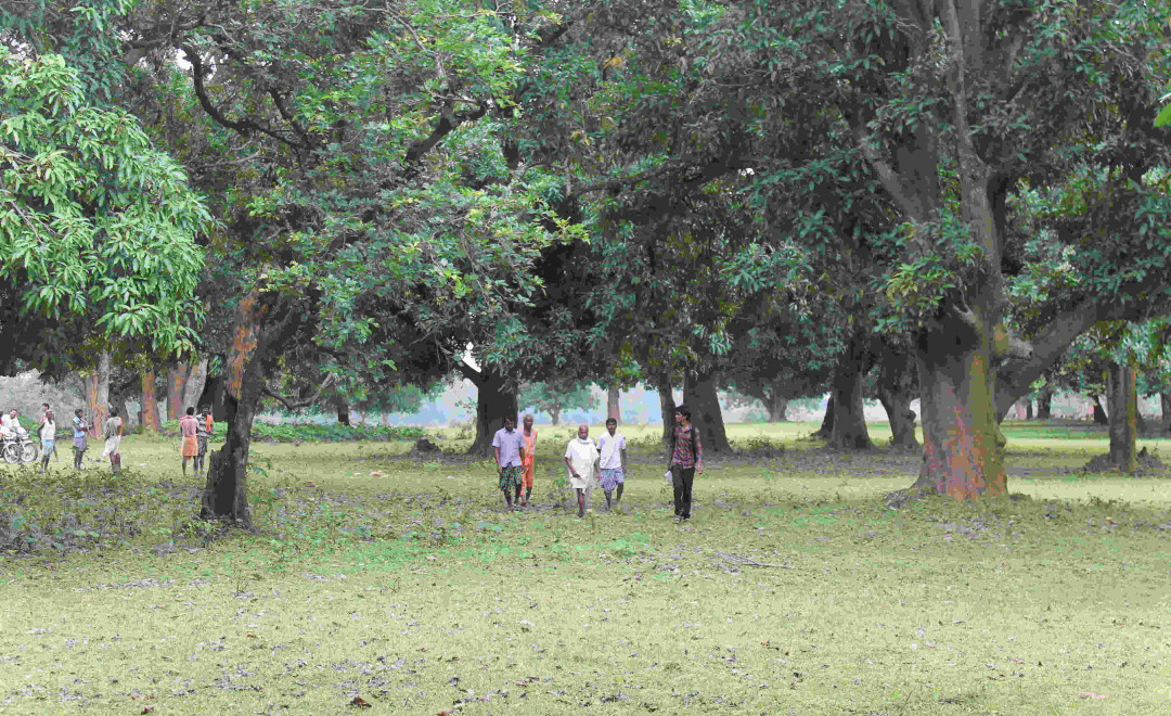 Aanwarabhata (2019-2020)