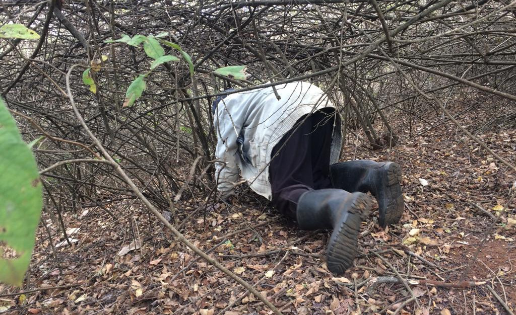 Nyambene Forest (2019)