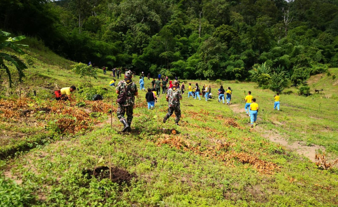 Demonstration Forest 3 (2019-2020)