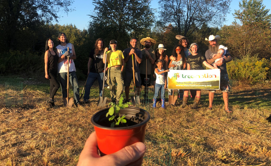 Ivy Reforestation Effort