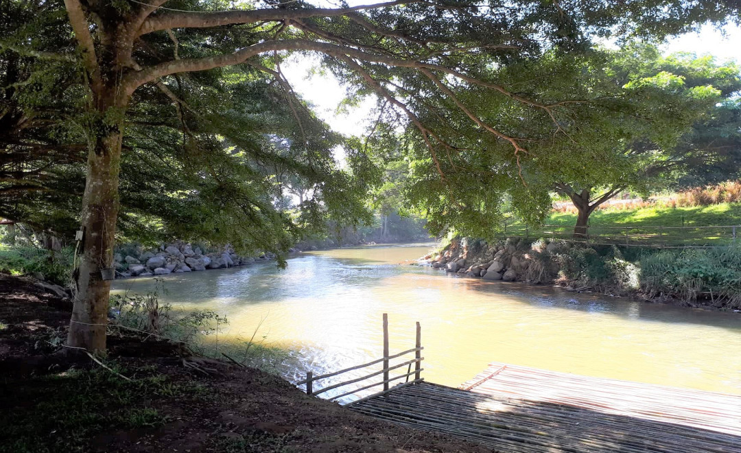 Paradise Site (2019 - 2020)