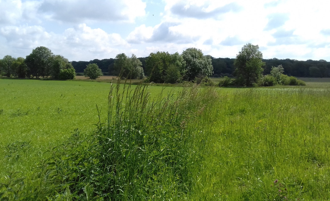 Villefrancon - Bourgogne (2020)