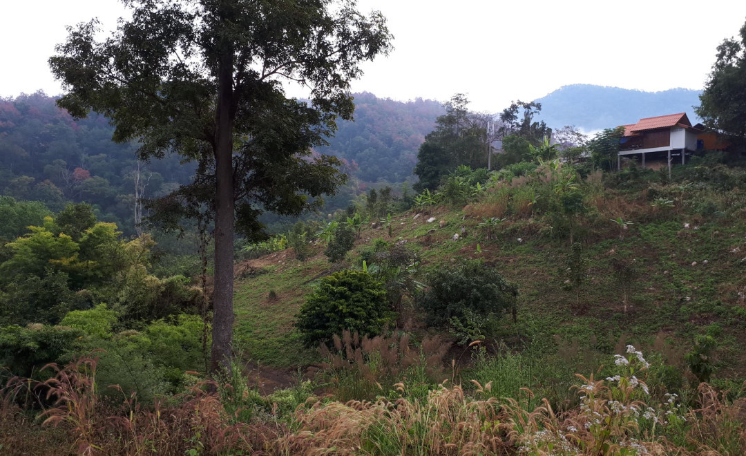Muang Rae Temple Site (2019 - 2020)