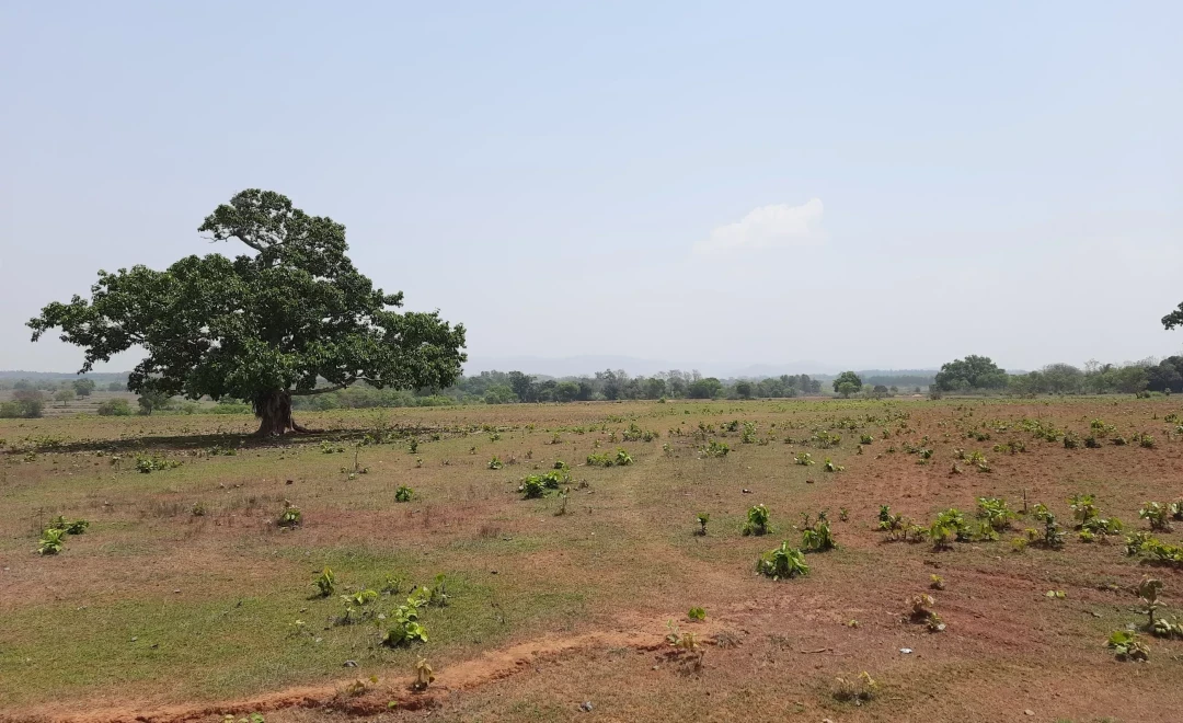 Deogan Village (2023)