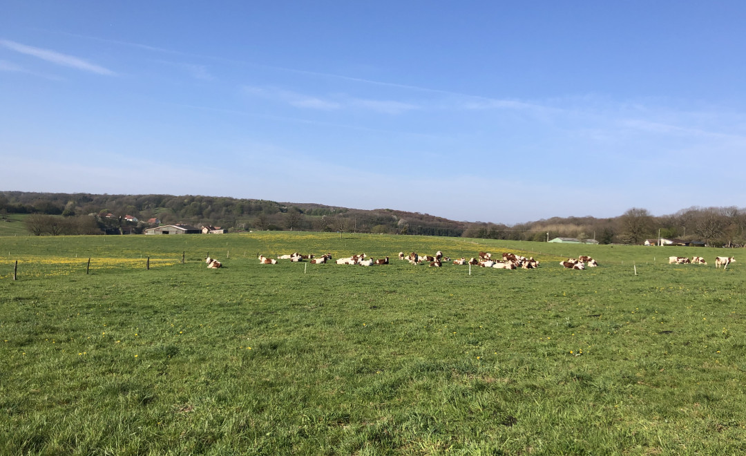 Fontenois lès Montbozon-BGN (2020)