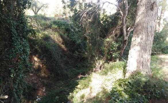 Torrent de Montpaó (2019)