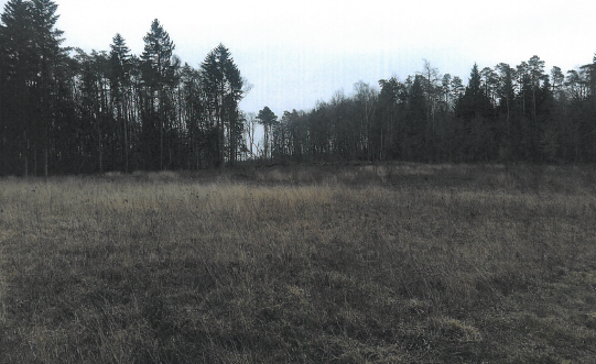 Consigny (2020)