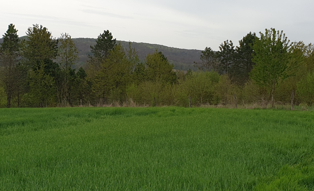 Leuglay - Bourgogne (2020)