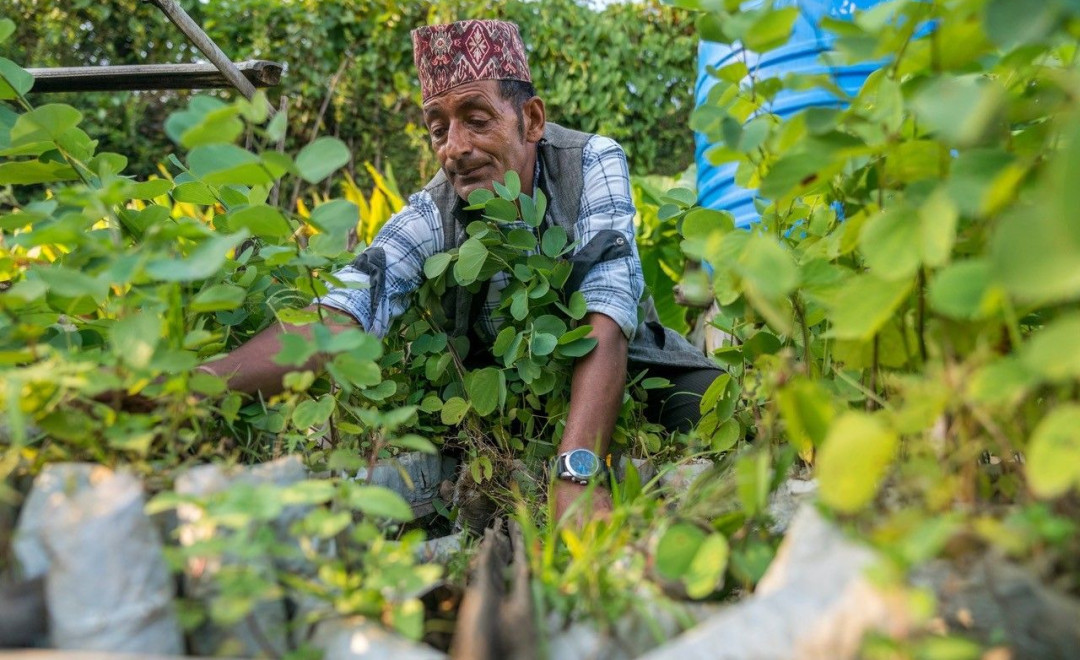Pokhara (Kaski District)