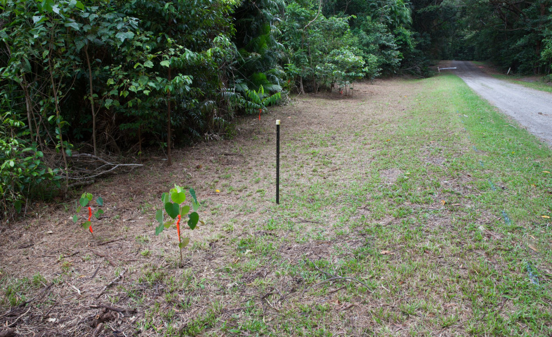 139C Silver Ash Road, Cow Bay