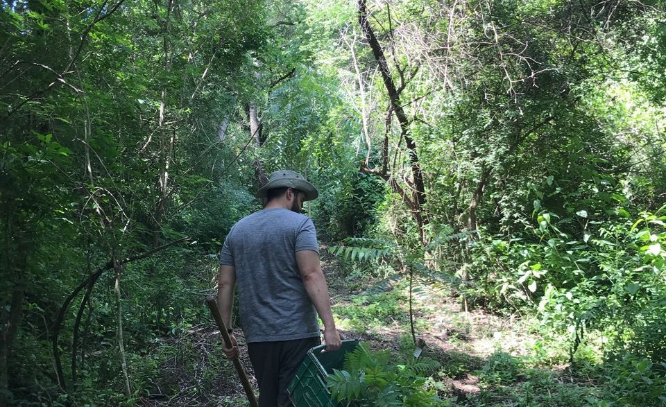 Enrichment Area Yungas Lote 11