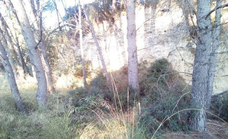 Rodal de Can Climent