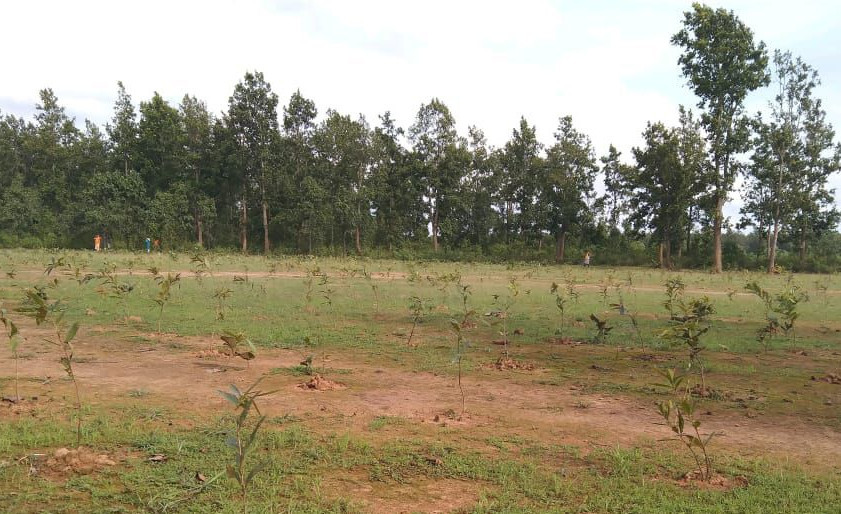 Karanjiguda (2020)