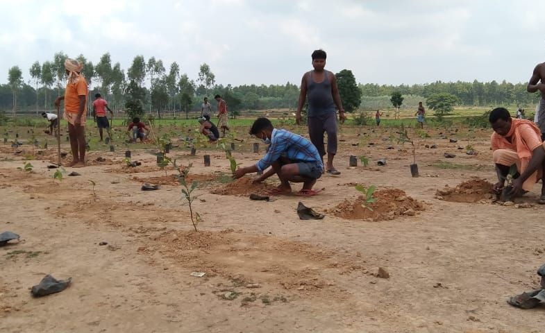 Bainkaguda (2020)