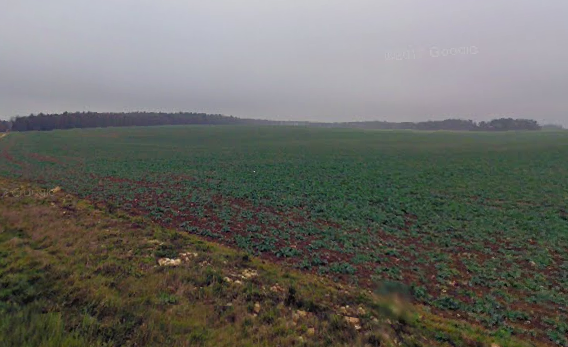 Balot - Bourgogne (2021)