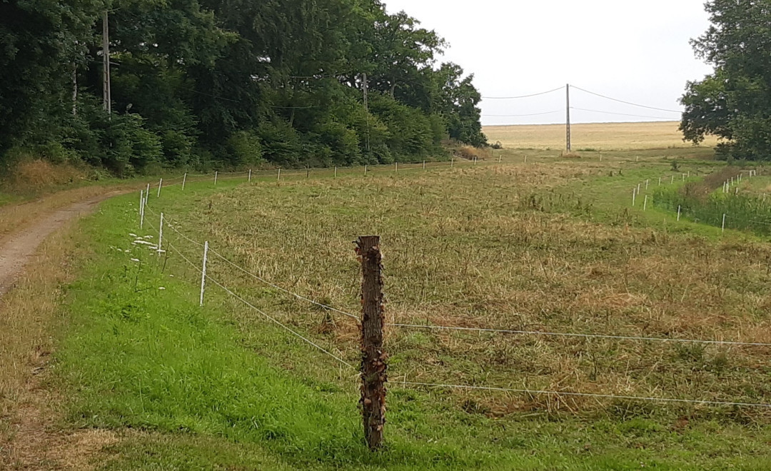 Marcenay - Bourgogne (2021)