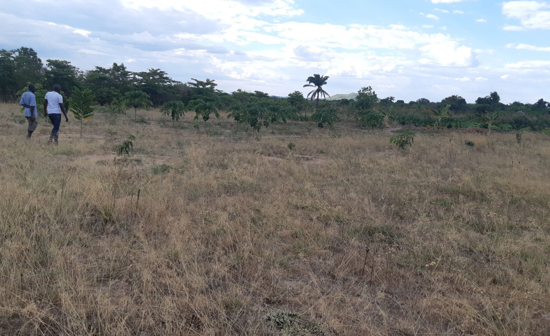 Kwameta 1
