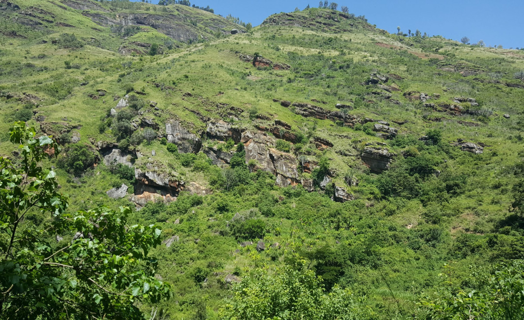 Mashindei- Bungu