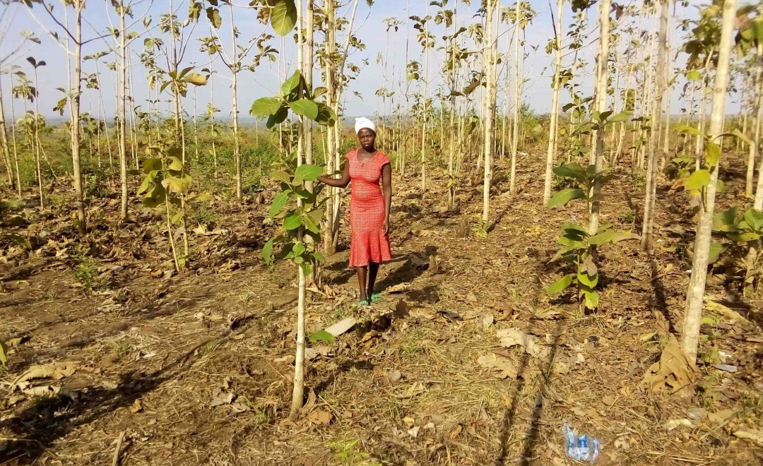 Amuru District