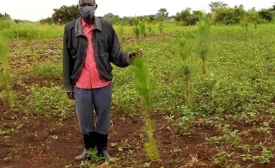 Gulu District