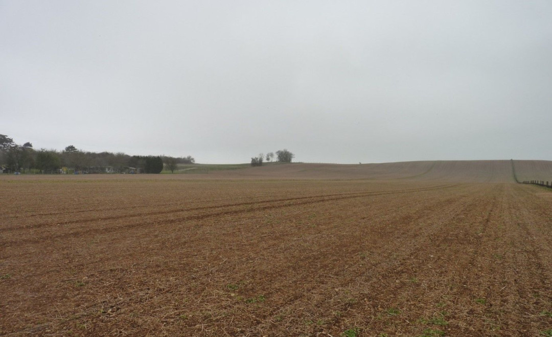 Chaignay 2 - Bourgogne (2021)