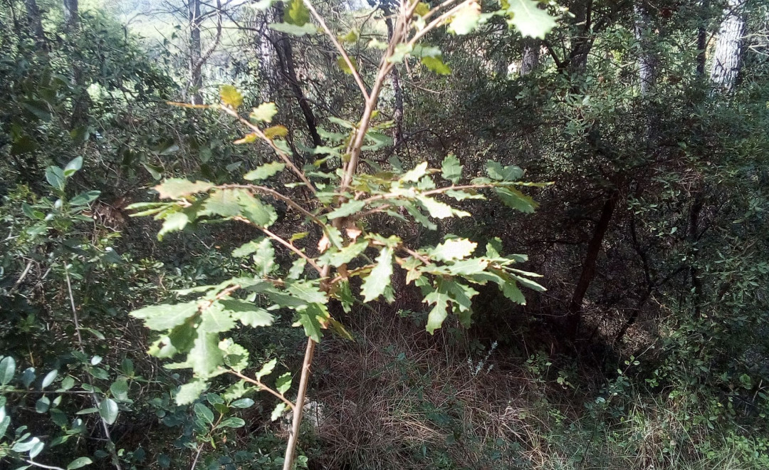 FONDO DE LLAVERÍA