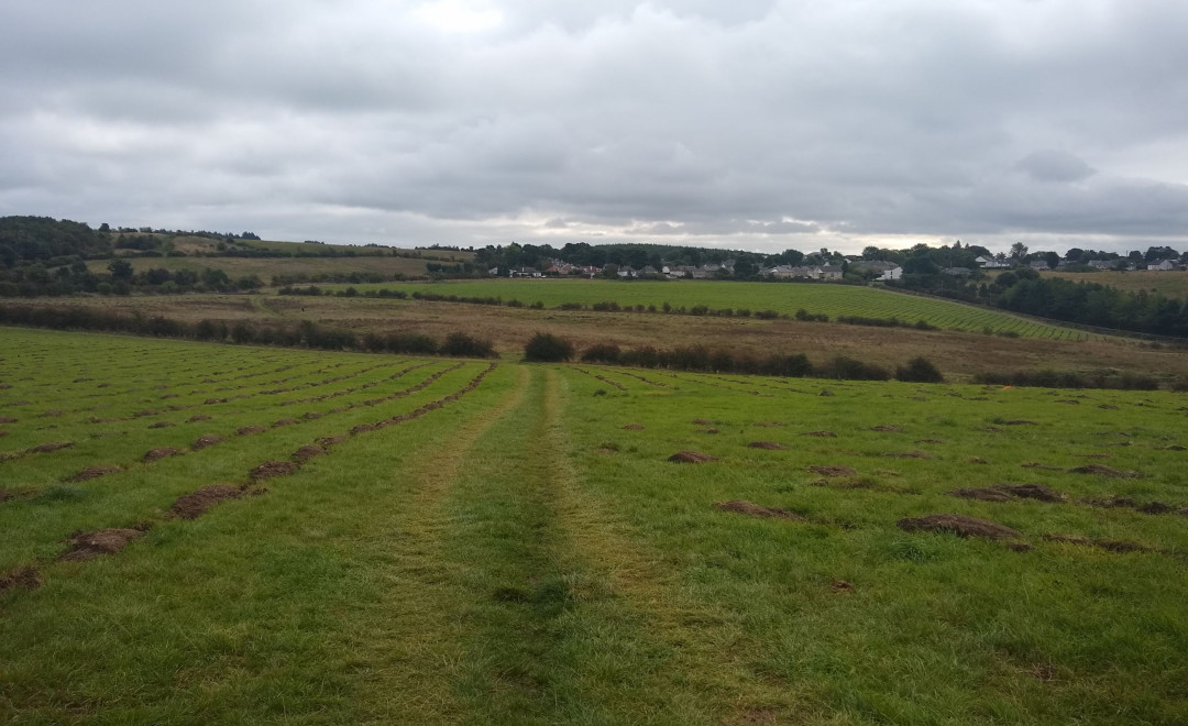 Cathkin Braes-Carmunnock (Scotland)