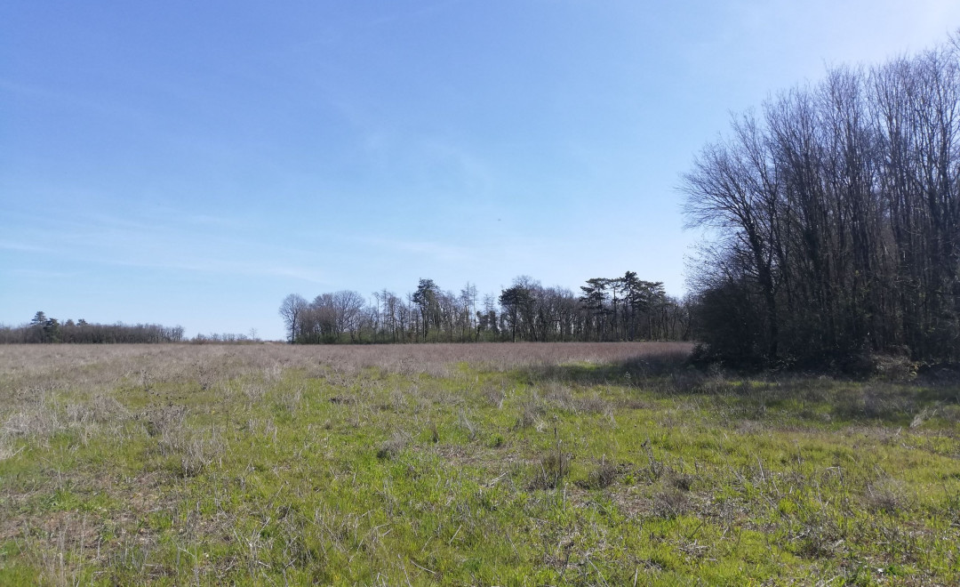 Pouligny St. Pierre1 (2022)