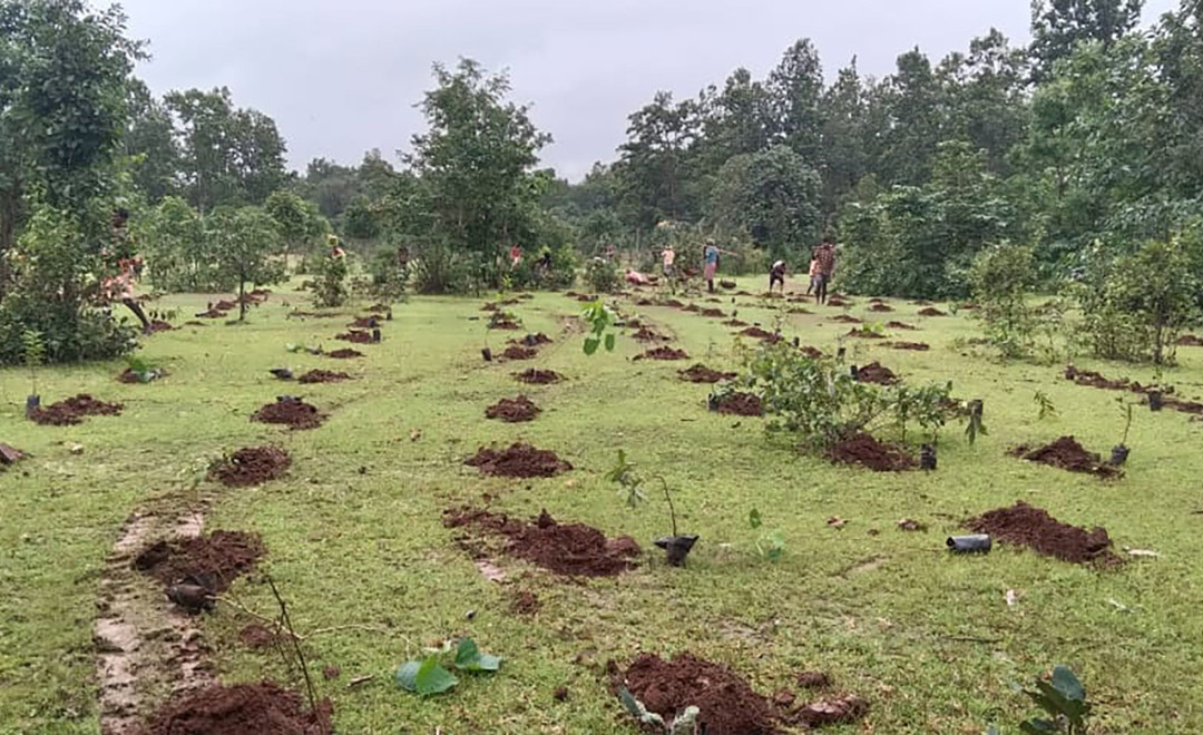 Bastar District-Chhattisgarh (2021)