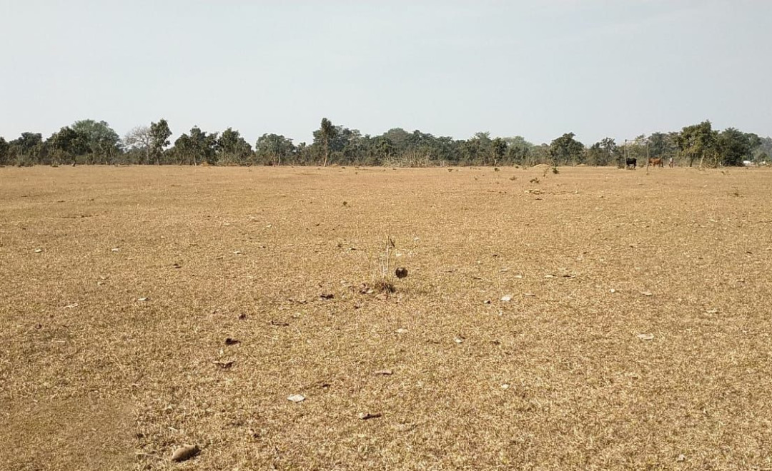 Noana - Gram Panchayat Manda (2021)