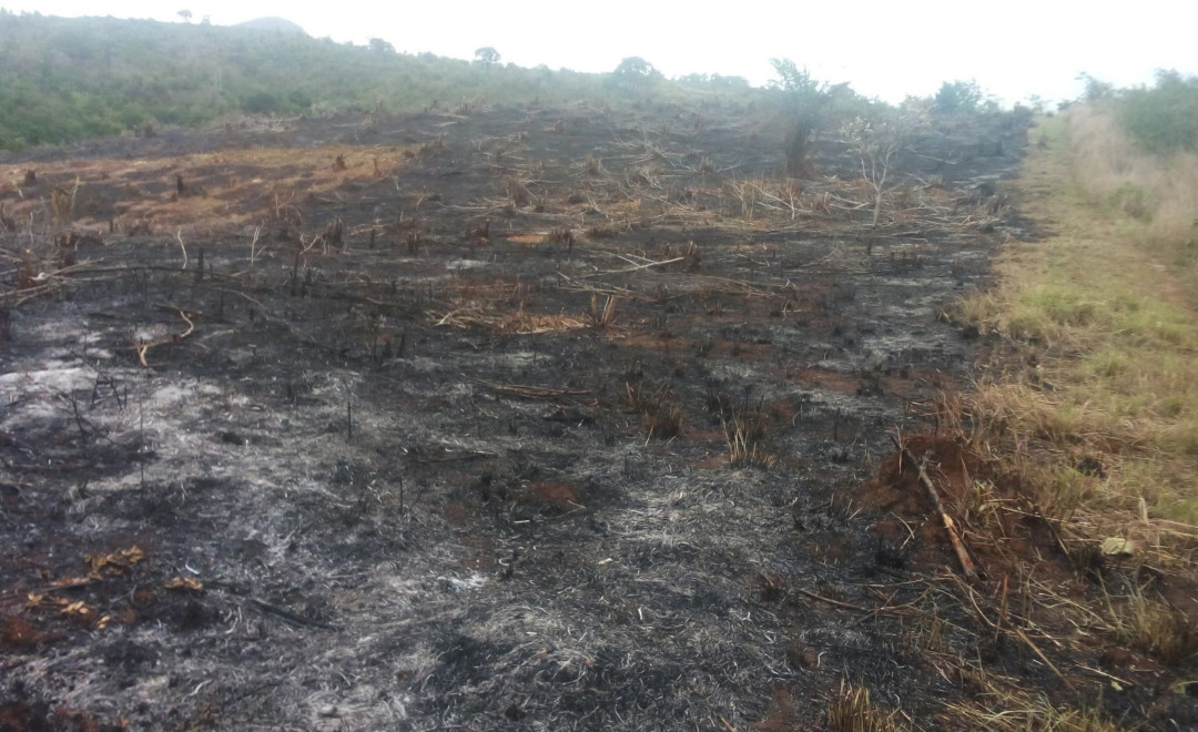 Mlima fundi