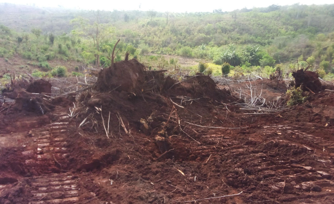 Gomba site 01