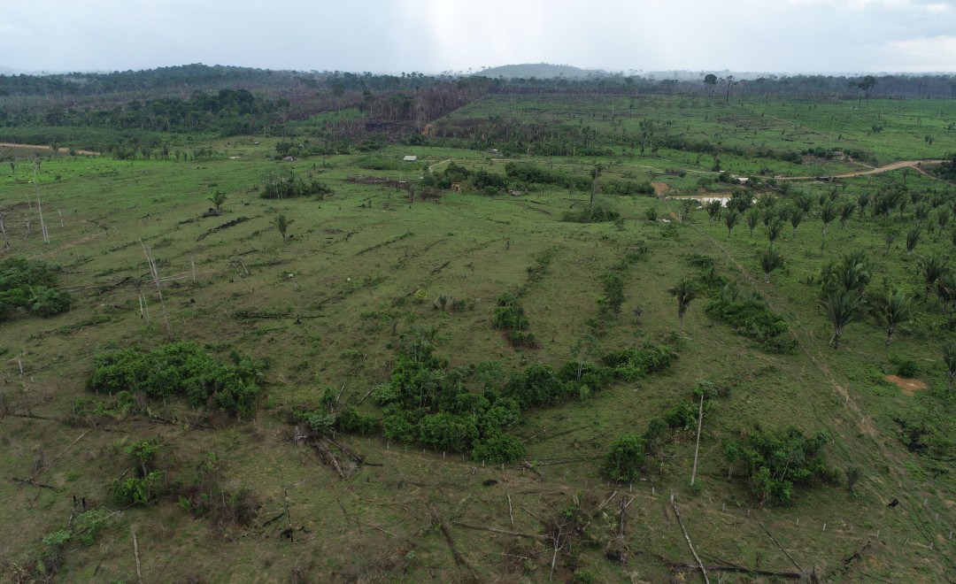 Santa Luzia Farm (2021-2022)