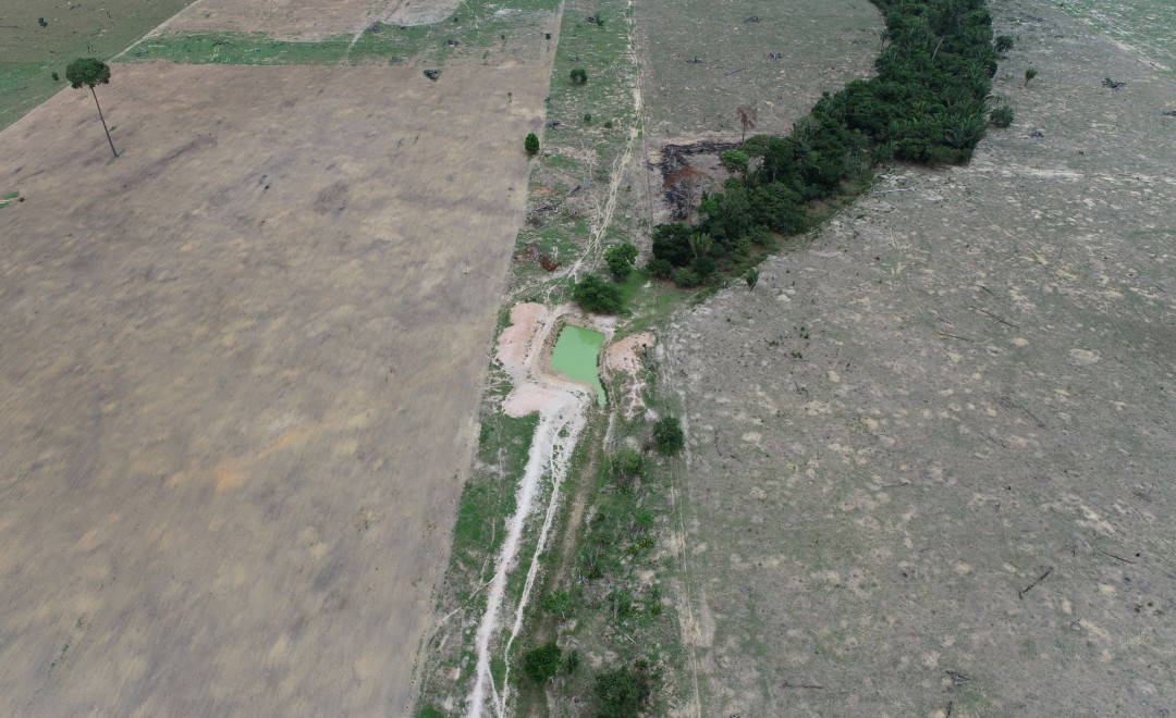 Sitio Castanheira Farm (2021-2022)
