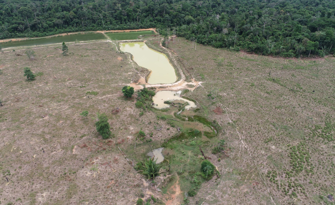 Sitio Planalto Farm (2021-2022)