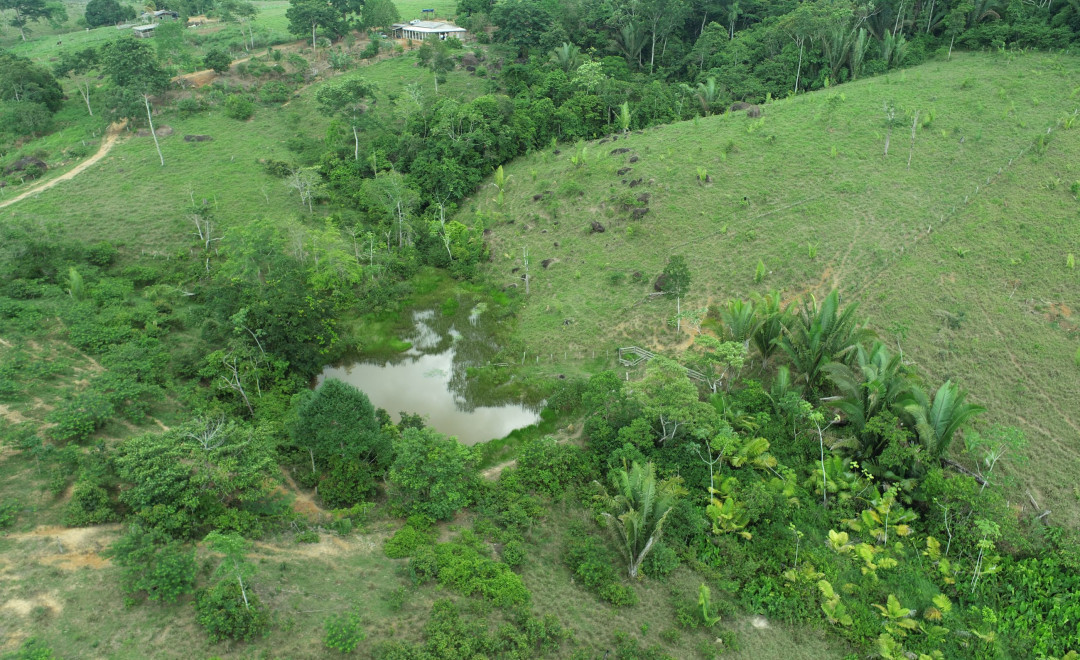 Sitio Inviolável Farm (2021-2022)