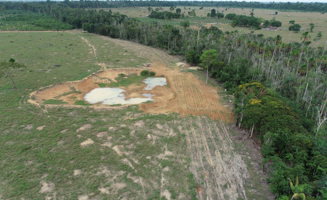Sítio Recanto Betel Farm(2021-2022)