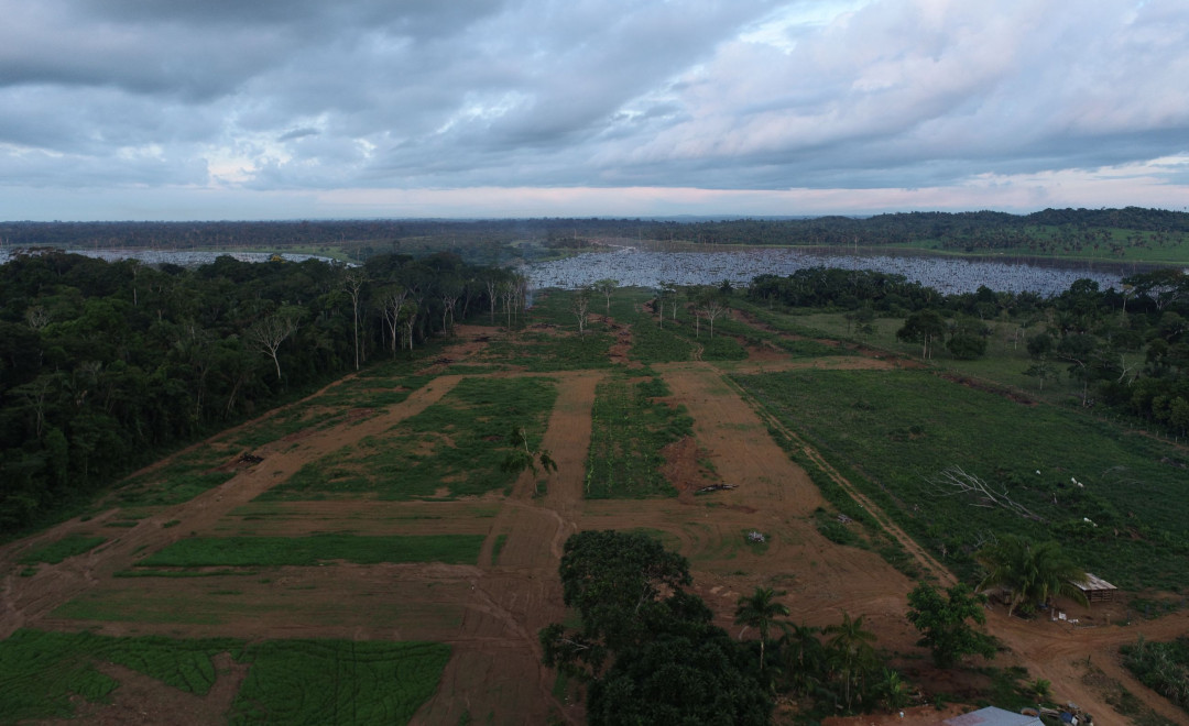 Sitio Boa Esperança Farm(2021-2022)