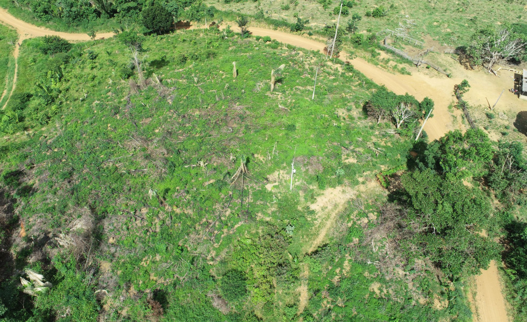 Sitio Esperança Farm (2021-2022)