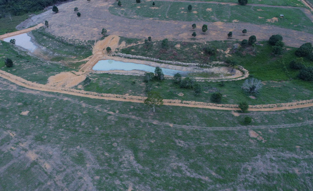 Sitio D.A. Farm (2021-2022)