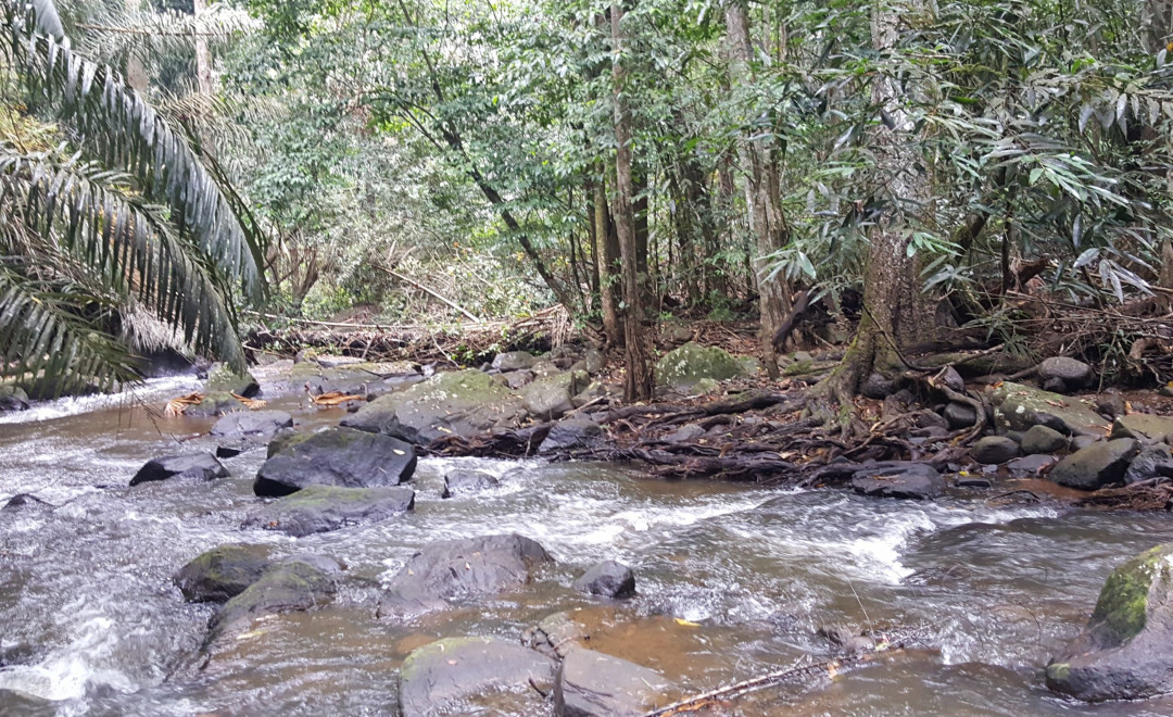 Magoma river valley
