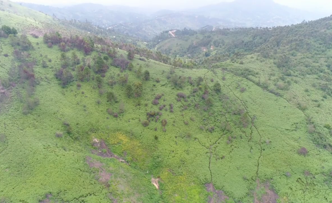 Chambogo Reserve