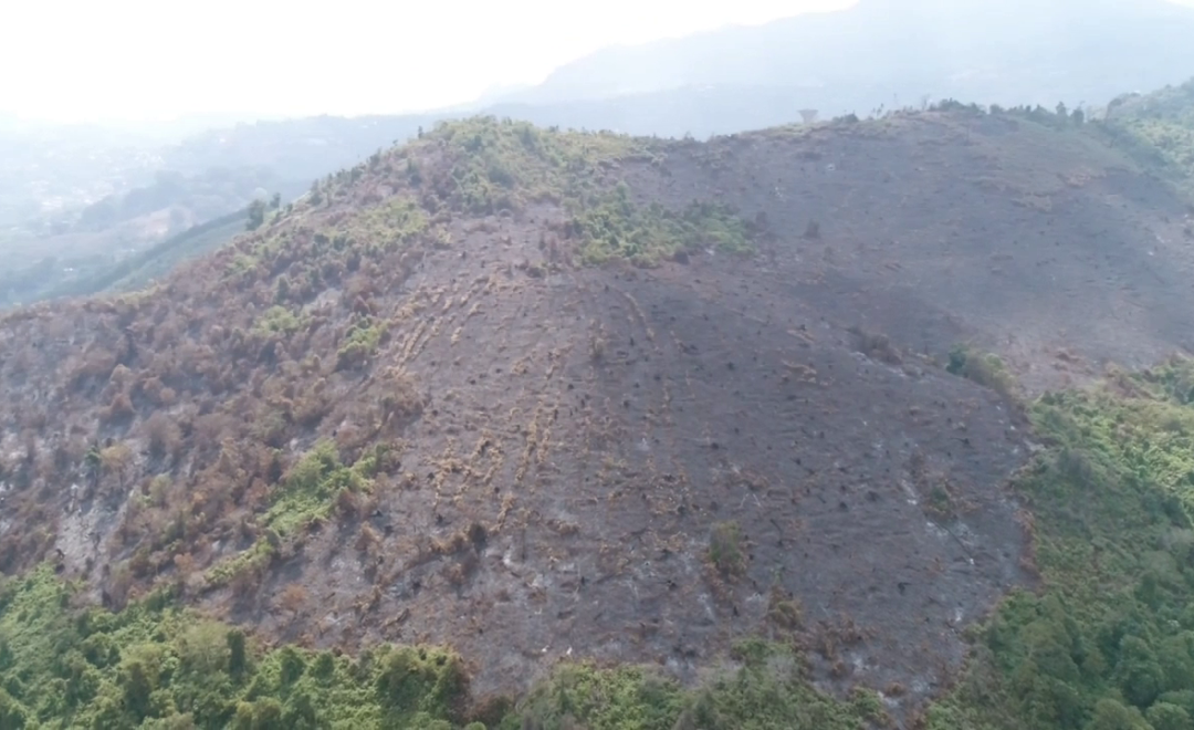 Magila Non-Forest Reserve