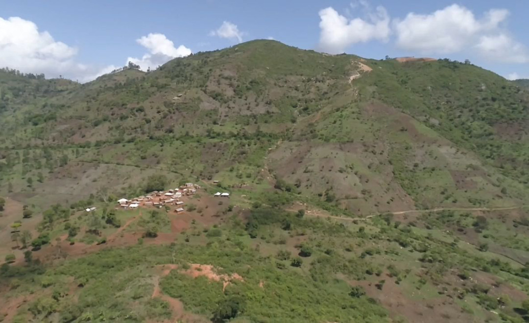 Green Up Makanya (2022)