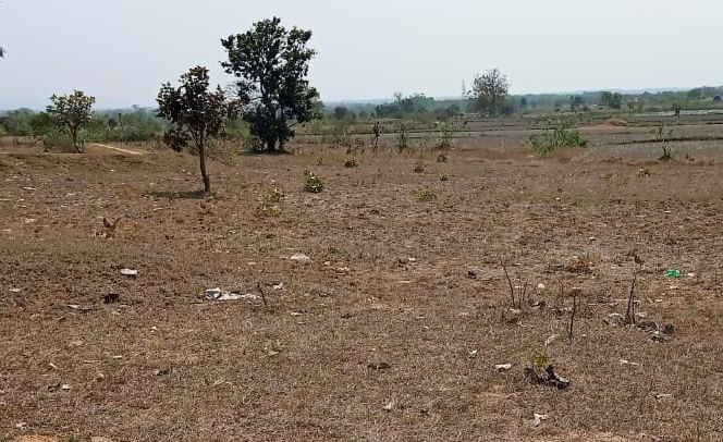 District Mayurbhanj (2022) 1