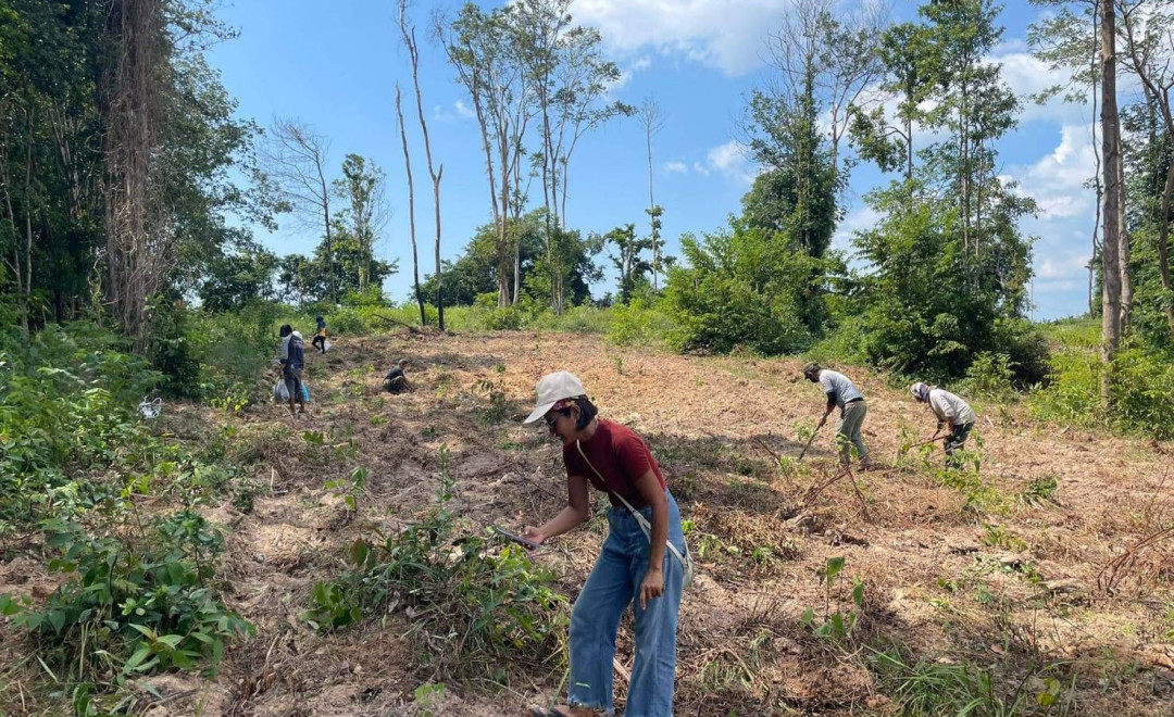 Sriboya planting site 5 (2022)