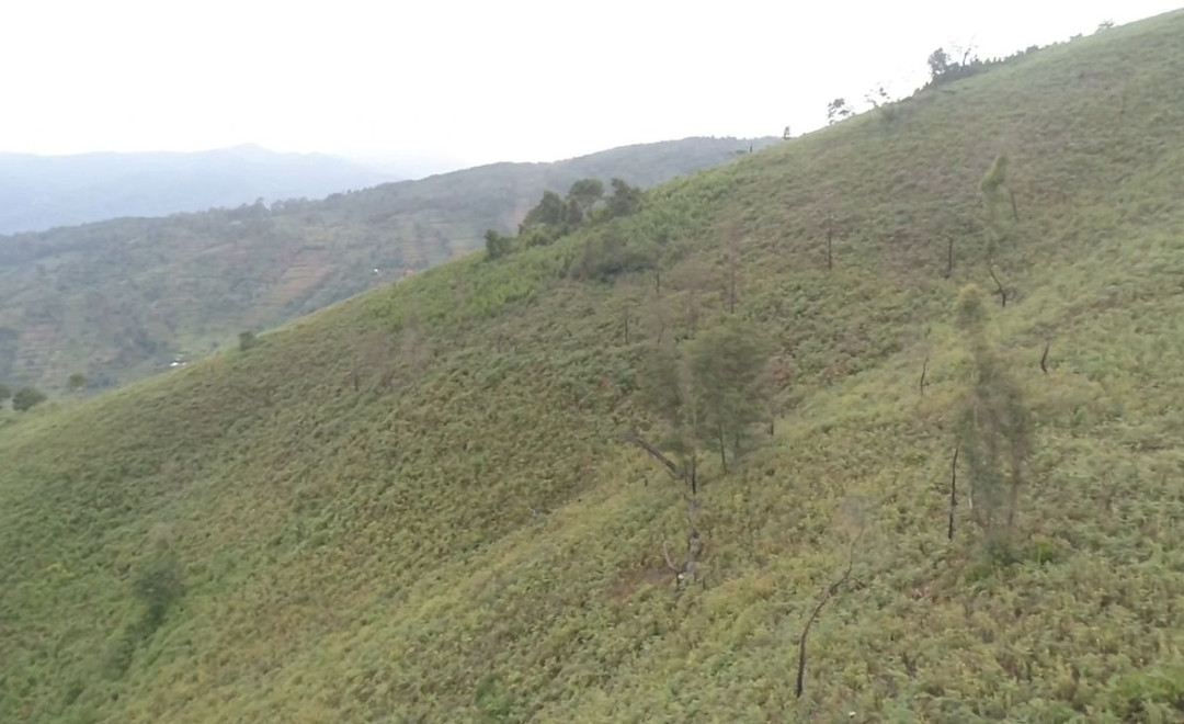 Mbelei Site 1 (2019-2020)
